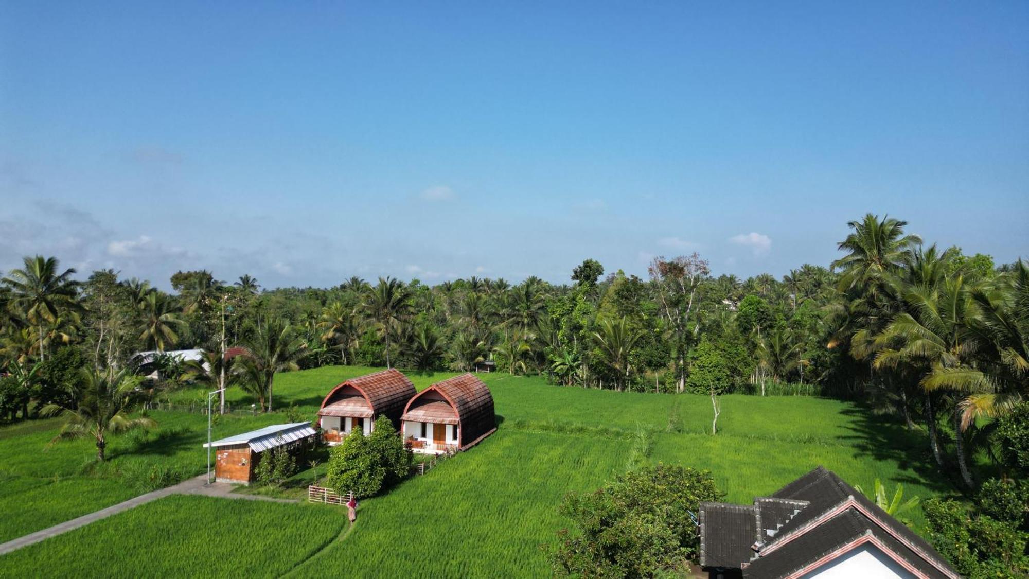 Bale Tetebatu Villa Bagian luar foto