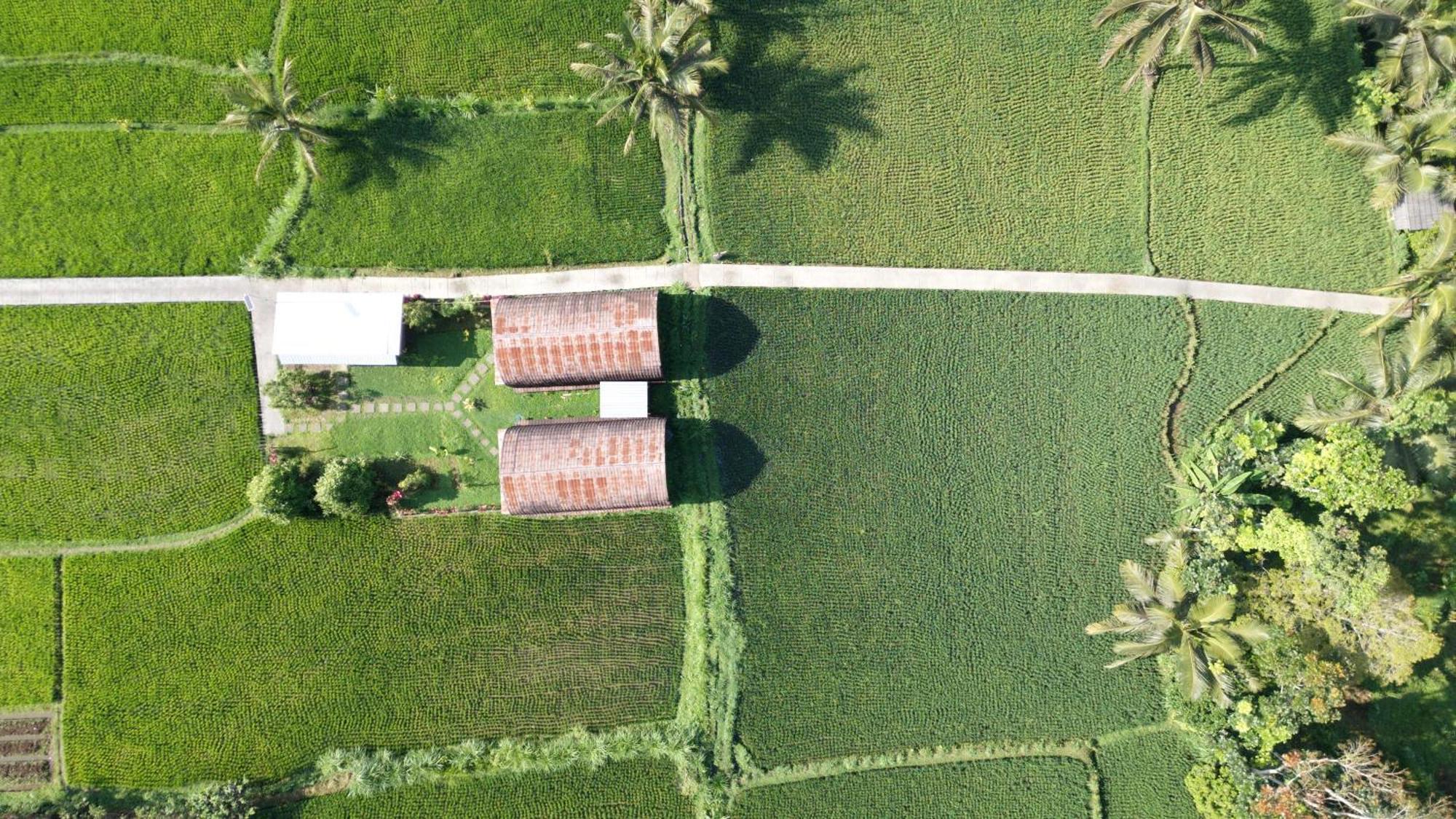 Bale Tetebatu Villa Bagian luar foto