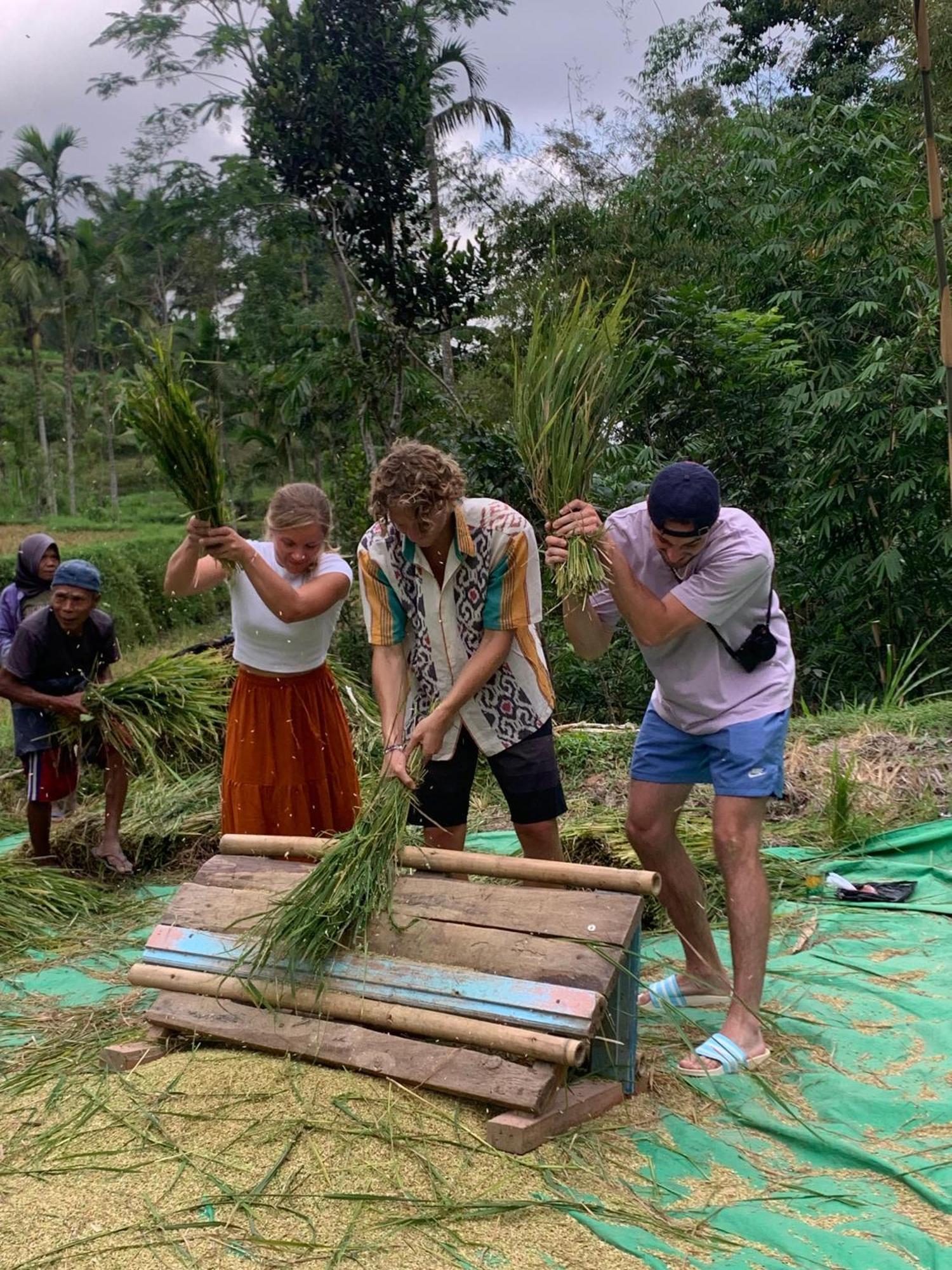 Bale Tetebatu Villa Bagian luar foto