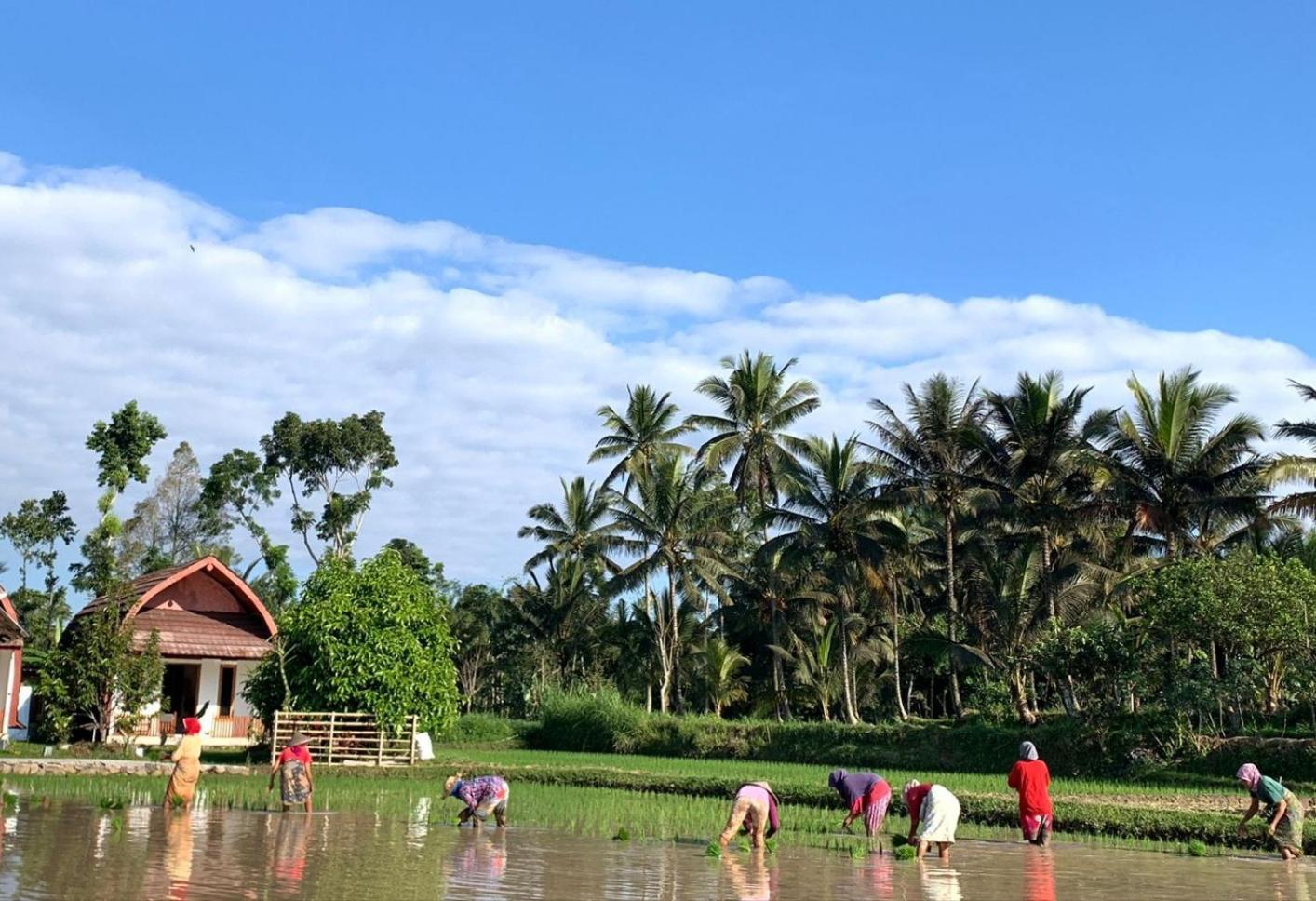 Bale Tetebatu Villa Bagian luar foto