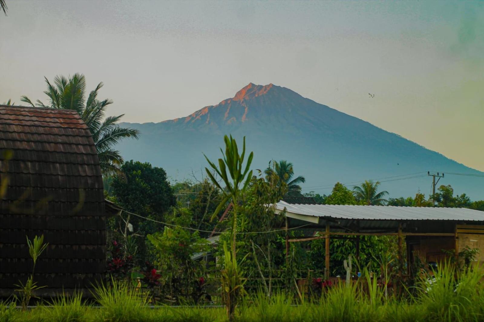 Bale Tetebatu Villa Bagian luar foto