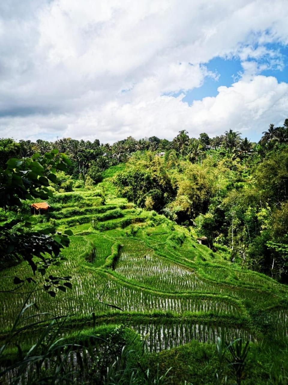 Bale Tetebatu Villa Bagian luar foto